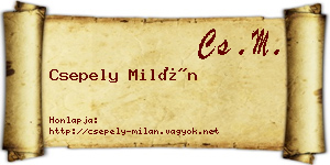 Csepely Milán névjegykártya